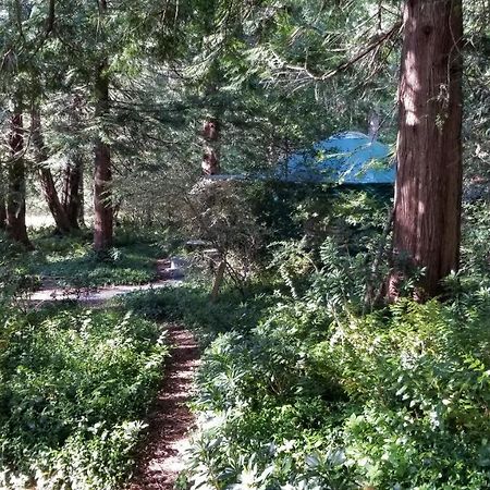 Sacred Pilgrimage Studio Guest House Metchosin Exterior foto