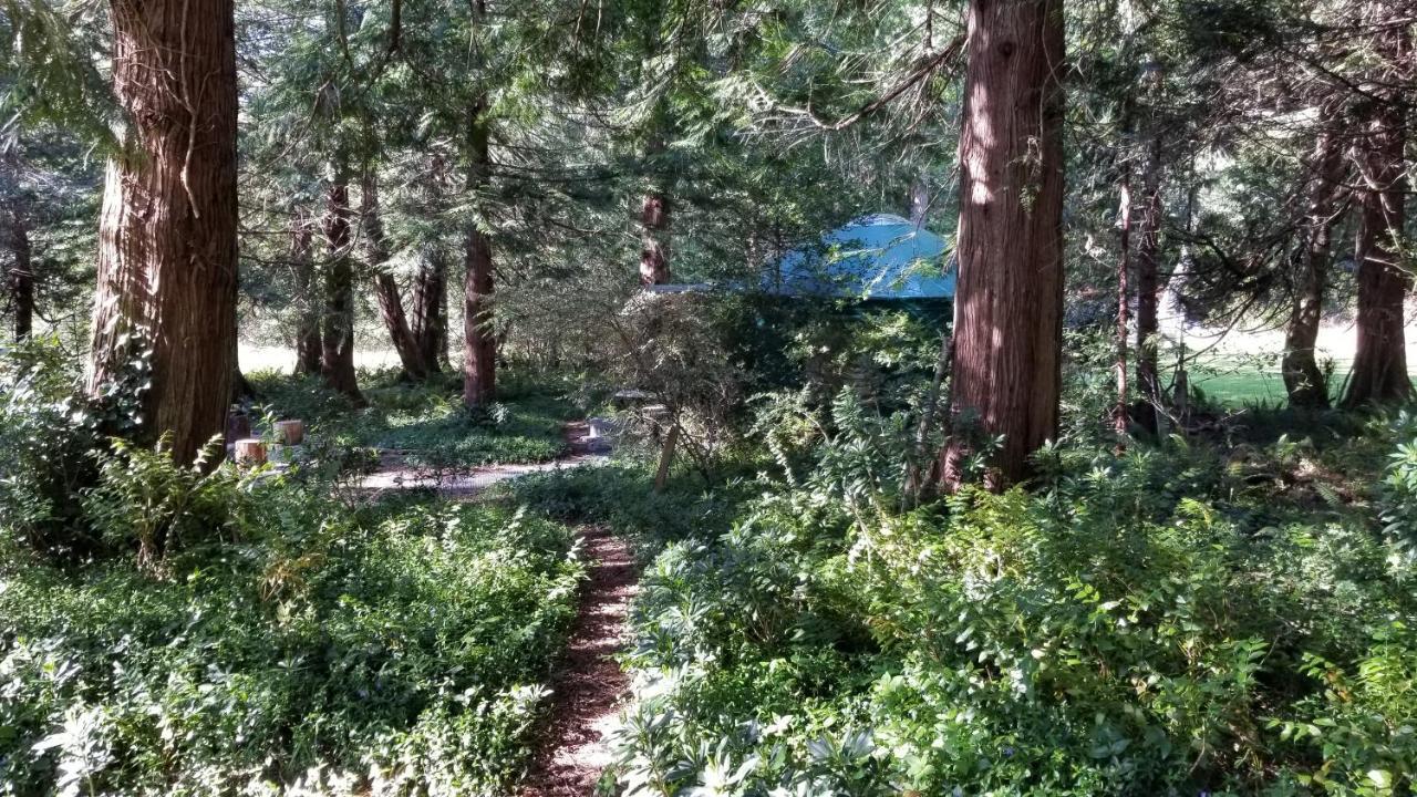 Sacred Pilgrimage Studio Guest House Metchosin Exterior foto